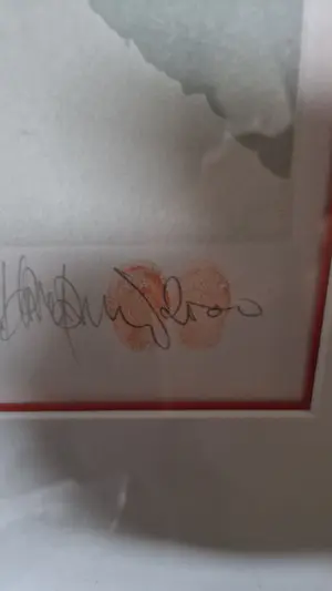 Fon Klement - rode bloem kopen? Bied vanaf 100!