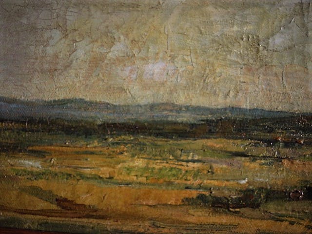 Niet of onleesbaar gesigneerd - Fraai impressionistisch zg. panorama olieverf "Duinlandschap" gesigneerd  kopen? Bied vanaf 1!