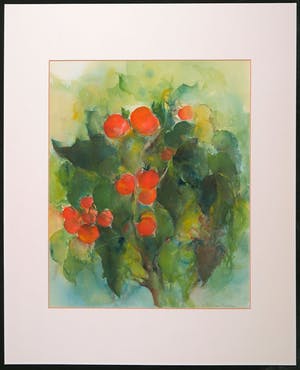 Willie van Haard - Aquarel, Tomaten kopen? Bied vanaf 1!