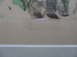 Kenneth Daley - etsen, Aquatint .titel, "Philodendron". kopen? Bied vanaf 10!