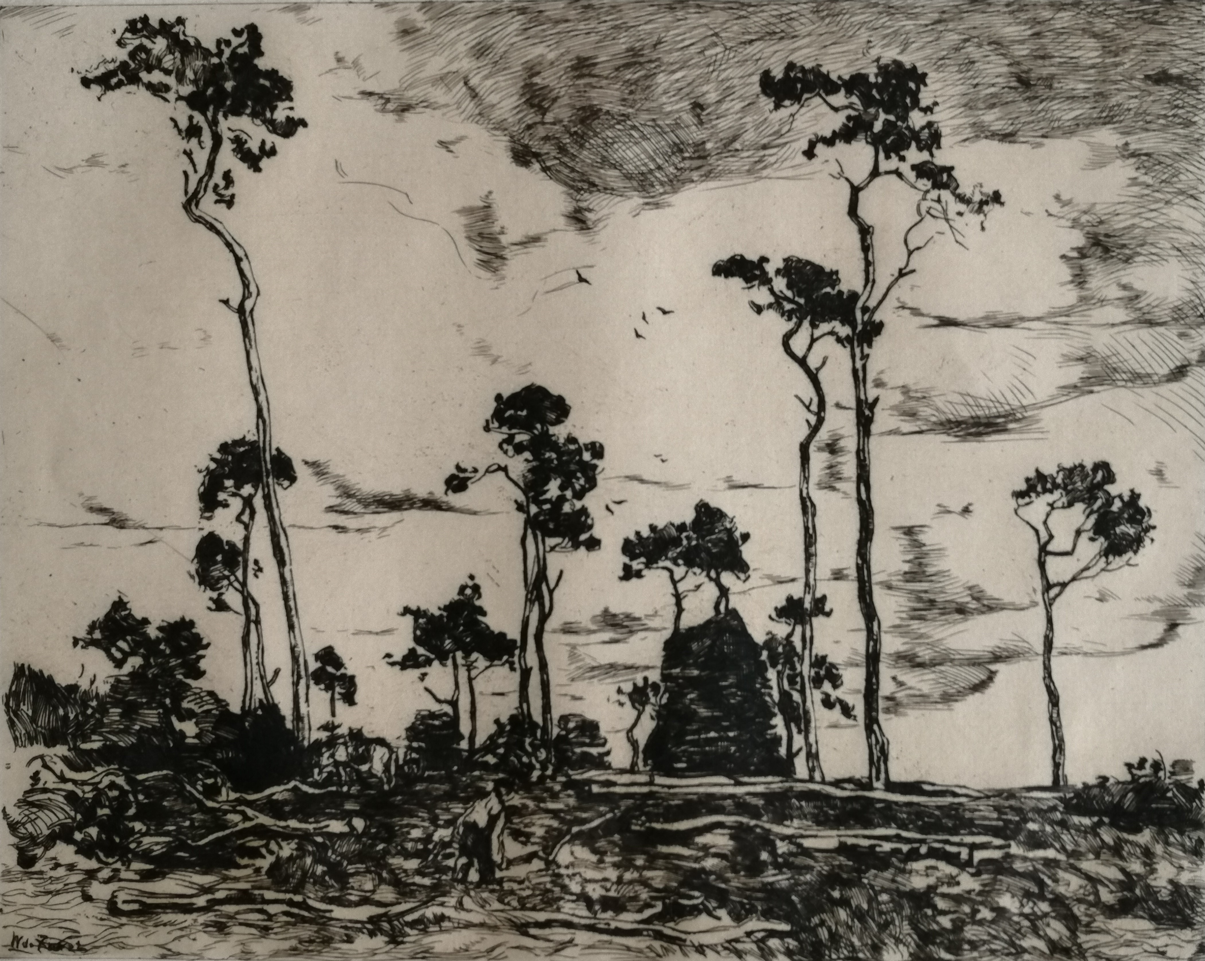 Willem de Zwart - Hakhout laden kopen? Bied vanaf 30!