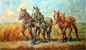 Jacques van Mourik - Werkpaarden op het land kopen? Bied vanaf 250!