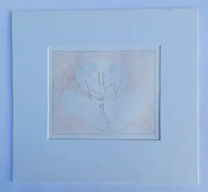 Co Westerik - Kleurenlitho: "Bloemornament" - 1987 kopen? Bied vanaf 100!