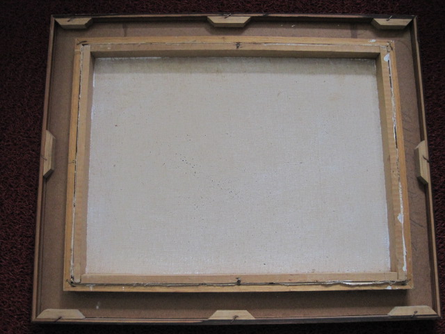 Niet of onleesbaar gesigneerd - Brazilie Naïeve Kunst "Boeren op het land bij de Iguaçu rivier" gesigneerd kopen? Bied vanaf 1!