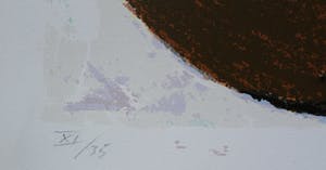 Thomas Ankum - zeefdruk - 1991 kopen? Bied vanaf 49!