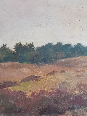 Jan A. Louwers - Loonse en Drunense duinen kopen? Bied vanaf 70!