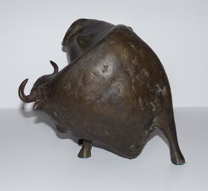 Evert den Hartog - Stier kopen? Bied vanaf 750!
