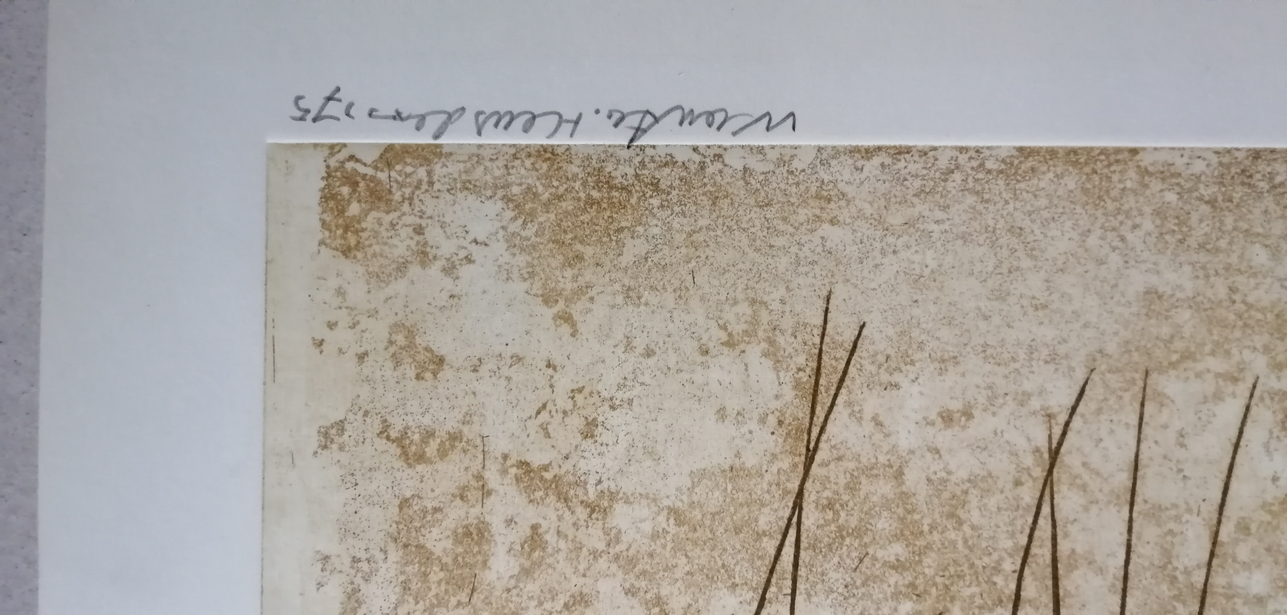 Wout van Heusden - Pensée kopen? Bied vanaf 30!