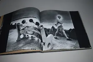 Ed van der Elsken - Sweet Life - nederlandse editie 1966 kopen? Bied vanaf 135!