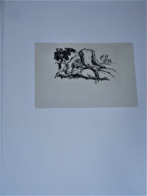 Niet of onleesbaar gesigneerd - Interessante erotische Inkt tekening - niet gesigneerd - in passe partout kopen? Bied vanaf 1!
