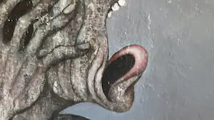 Sjef van Schaijk - No XIII - Dertien kopen? Bied vanaf 550!