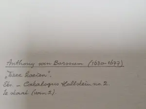 Anthony van Borssum - Rustende koeien kopen? Bied vanaf 200!