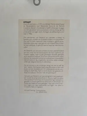 Diederik van Leeuwen - A Vendre kopen? Bied vanaf 35!