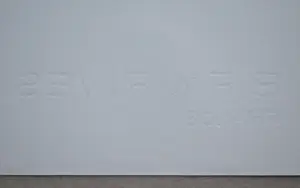 Franz Eggenschwiler - Clearing II, 1992 - Originele houtsnede, handgesigneerd kopen? Bied vanaf 160!