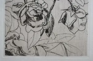 Floris Verster - Rozen kopen? Bied vanaf 65!