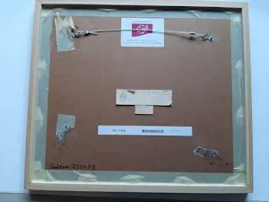 Alexander Lichtveld - Aquarel, Paus. kopen? Bied vanaf 40!