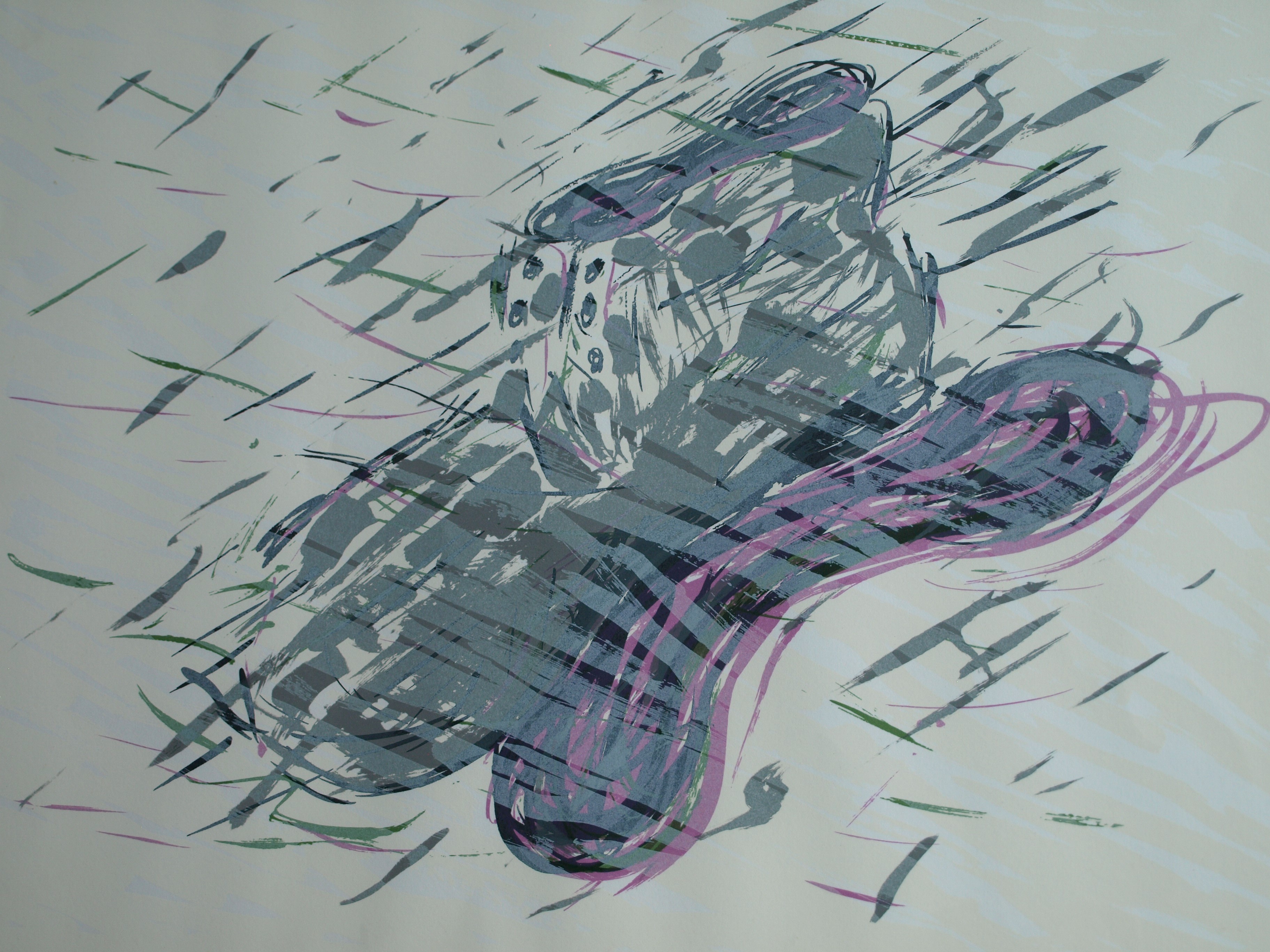 Frank Daalder - Zeefdruk , Schoen onder water – gesigneerd & ingelijst - 1977  kopen? Bied vanaf 1!