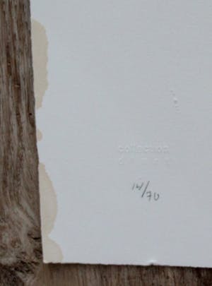 Armando - Litho: Der fahn(de vlag)- 1982 kopen? Bied vanaf 225!