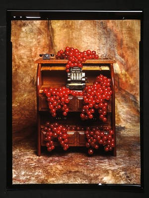 Dana Marshall - Foto, Fruition kopen? Bied vanaf 1!