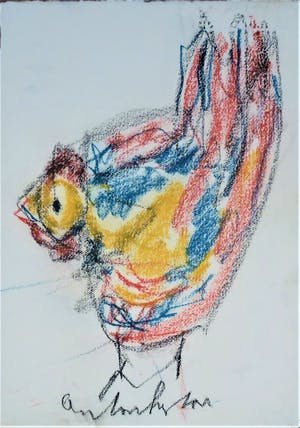 Anton Heyboer - De oer vogel . kopen? Bied vanaf 190!