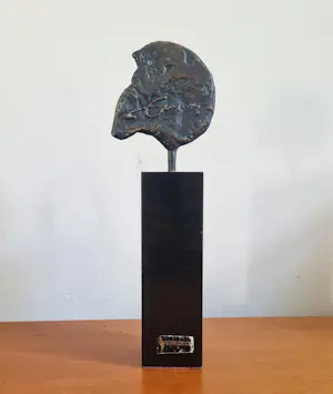 Ruurd Hallema - Erasmus kopen? Bied vanaf 100!