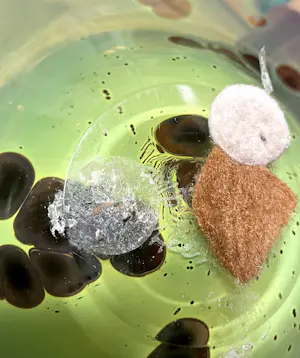 Willem Heesen - Glasobject, Groene schaal met patroon kopen? Bied vanaf 200!