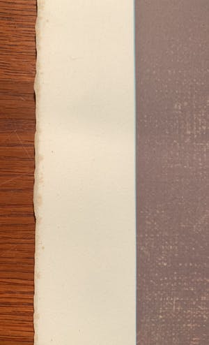 Leonor Fini - La fille Médiévale kopen? Bied vanaf 35!