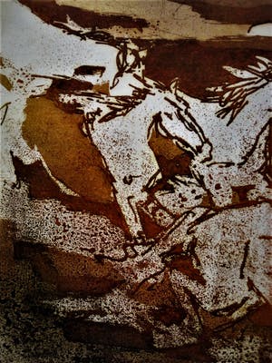 Niet of onleesbaar gesigneerd - gesigneerde, in zeer kleine oplage gemaakte Litho "Wilde Paarden" kopen? Bied vanaf 1!