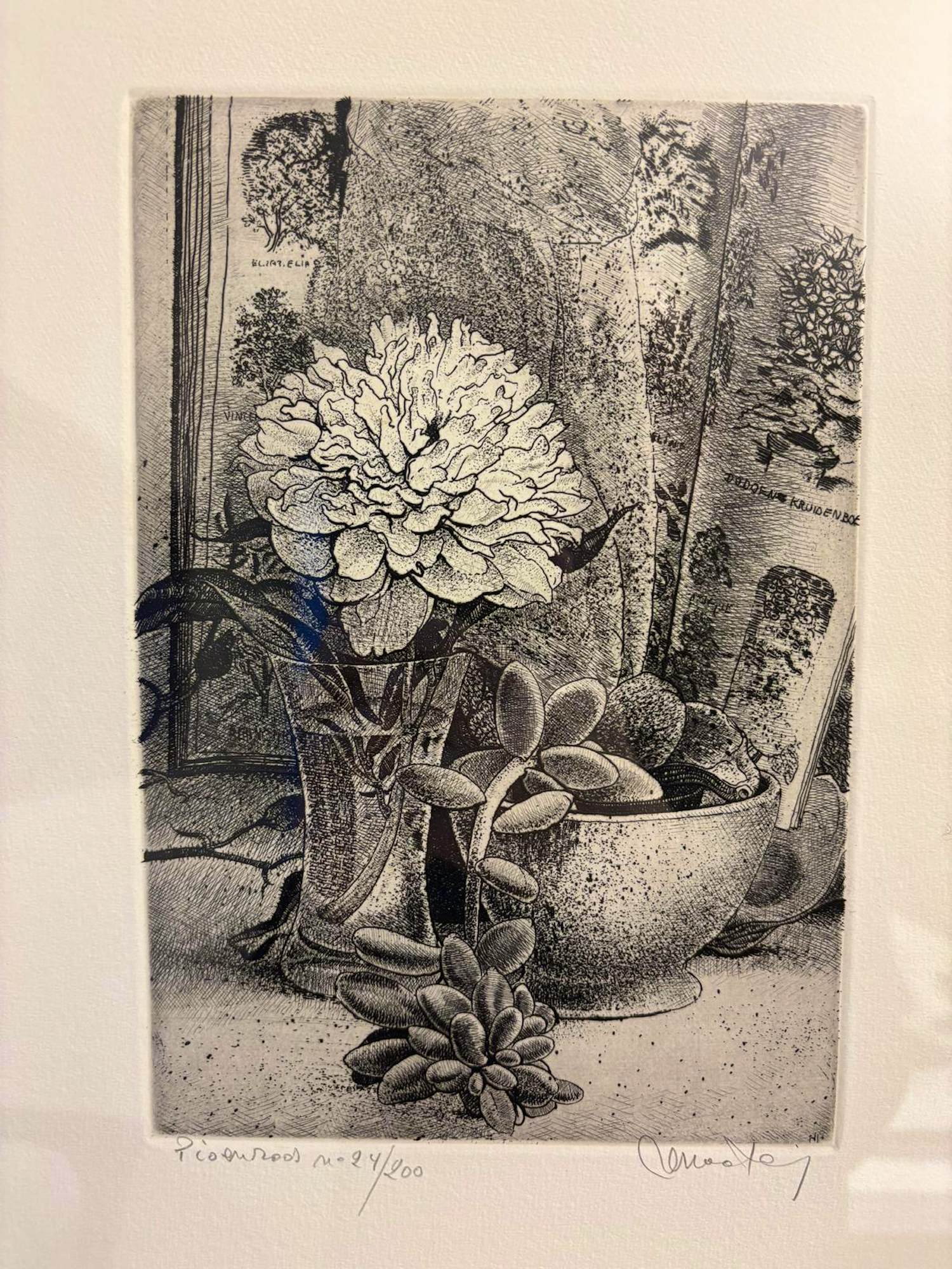 Renaat Veris - Pioenroos kopen? Bied vanaf 100!