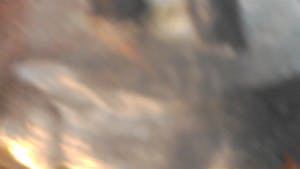 Corry Ammerlaan - vijf personen kopen? Bied vanaf 21!