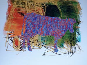 Arturo - Giclée , Koe , abstract en kleurrijk – 70 x 70 cm kopen? Bied vanaf 30!