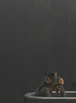 Mr. Strange - Zijn of niet zijn III kopen? Bied vanaf 80!