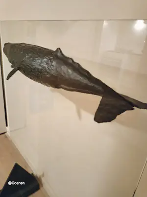 Harro Nikkels - Potvis kopen? Bied vanaf 7000!