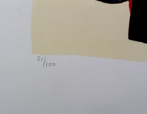 Kees Salentijn - zeefdruk -1997 kopen? Bied vanaf 49!