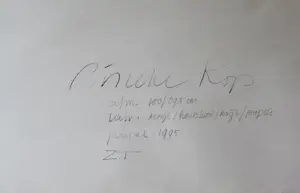 Rineke Kop - Zonder titel (1995) kopen? Bied vanaf 80!