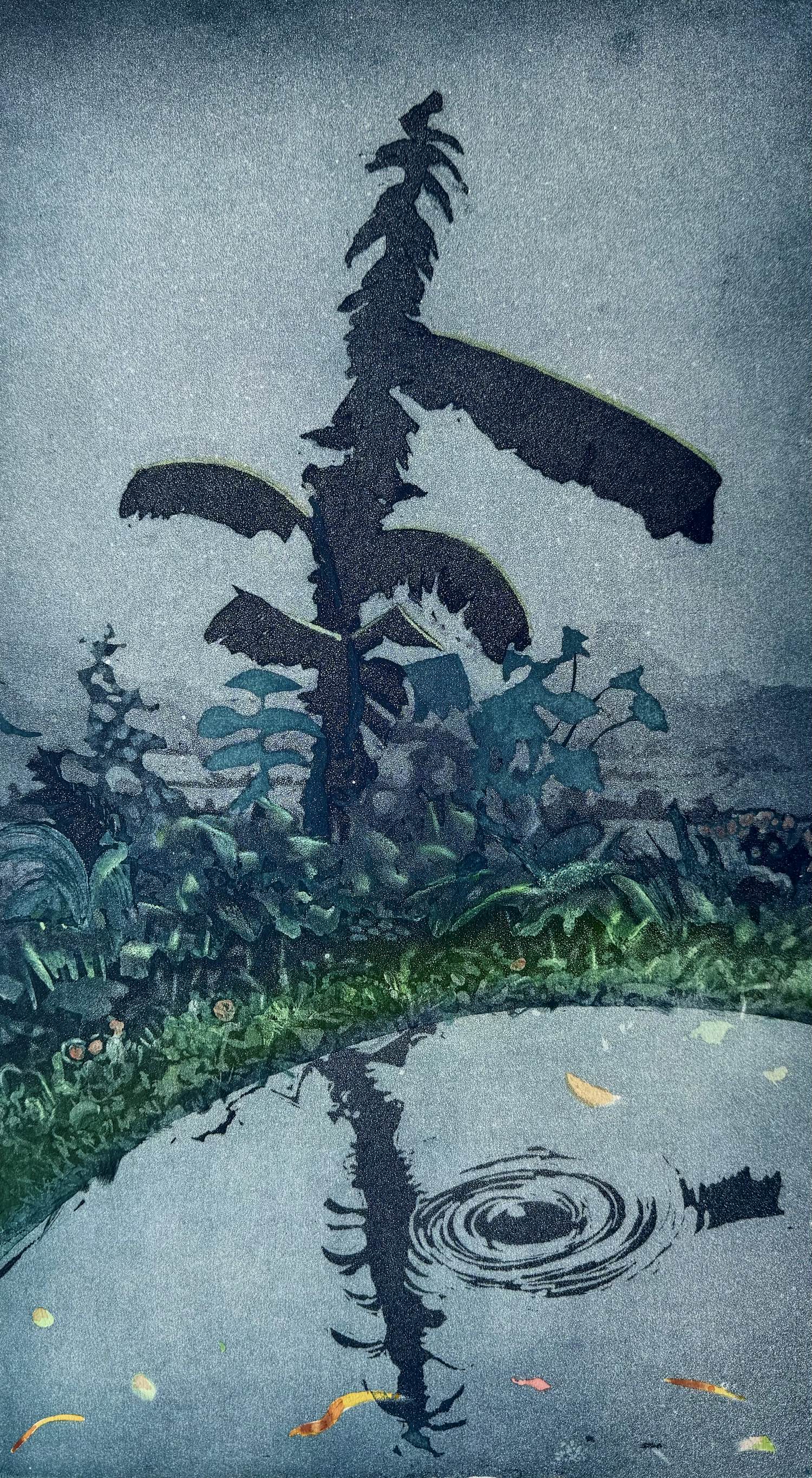 Sjoerd Bakker - Handgesigneerde kleurenets | 'Zonder titel' | 1988 kopen? Bied vanaf 20!