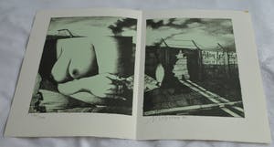 Nicolaas Wijnberg - Litho , Borsten – bijlage tijdschrift Petit No 4 - 1980 kopen? Bied vanaf 30!