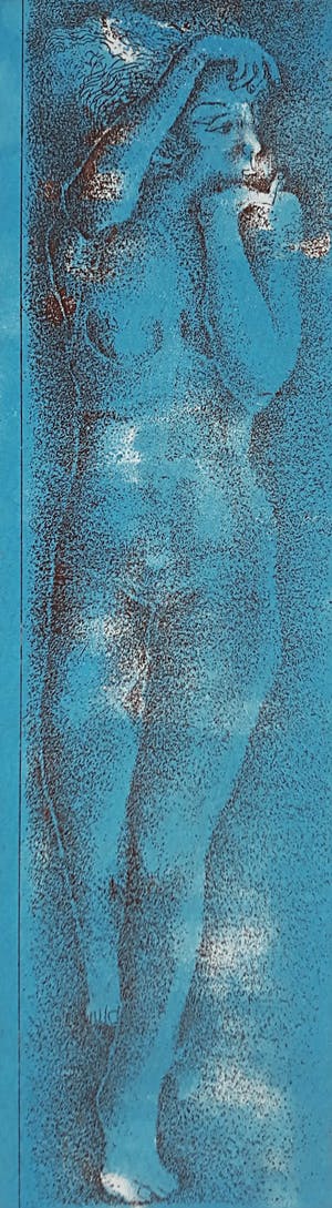 Noriko Ogawa - Naakt, aquatint ets kopen? Bied vanaf 30!