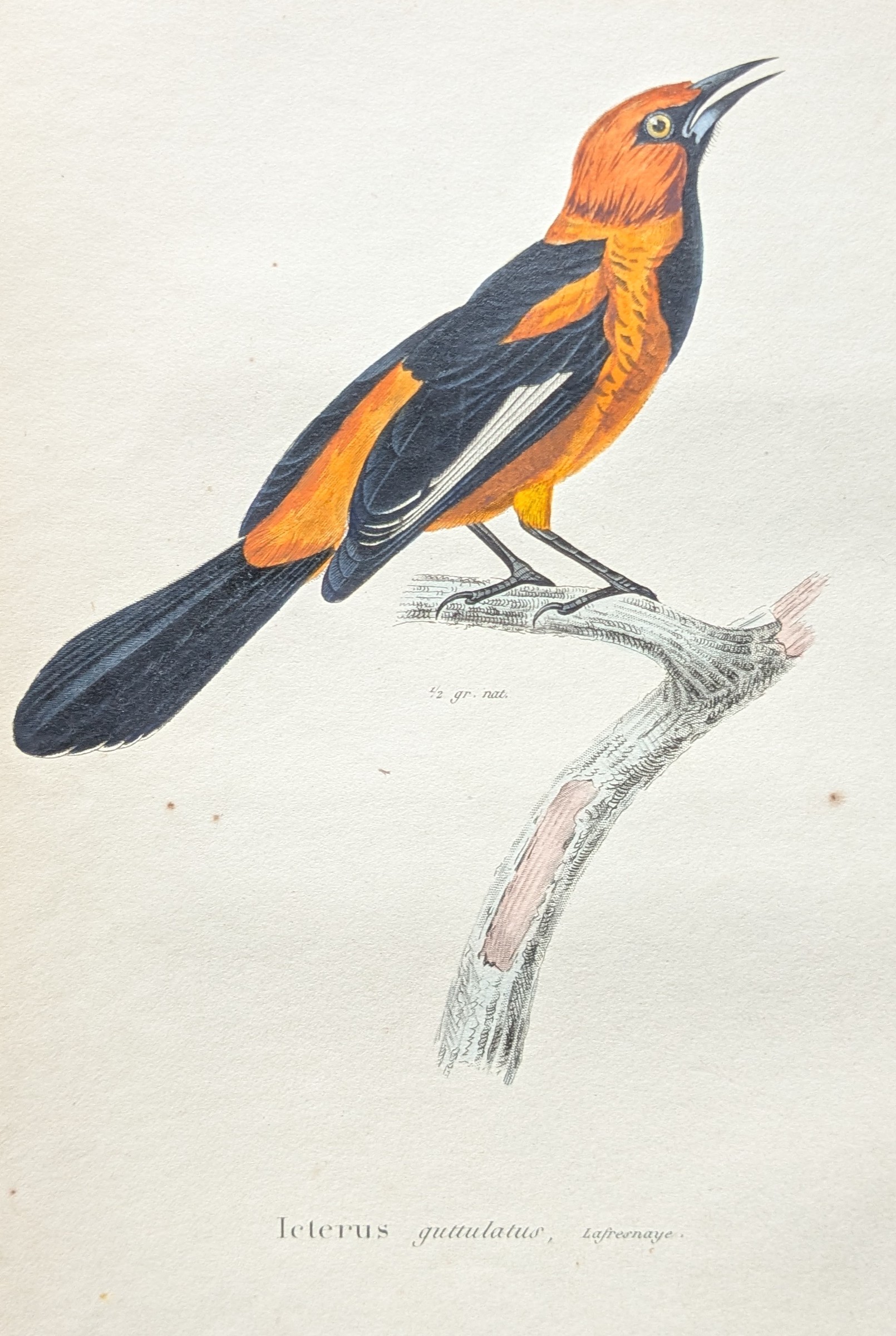 Jean-Gabriel Pretre (1768-1849)