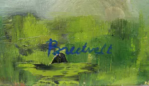 Dolf Breetvelt - Hollands Landschap kopen? Bied vanaf 250!