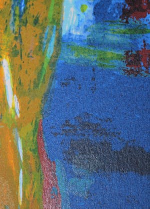 Henk Eikenaar - *Biorientation* - grote abstracte zeefdruk uit 1993 kopen? Bied vanaf 65!