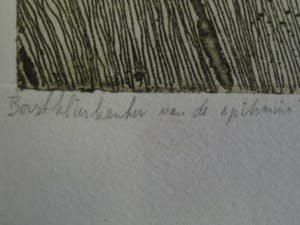 Theo van den Akker - Zaans Graficus & Surrealistist - ETS -Bep. oplage (10) "de Spitsmuis" gesigneerd kopen? Bied vanaf 10!