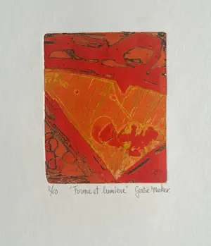 Gertie Mesker - Forme et Lumiere kopen? Bied vanaf 30!