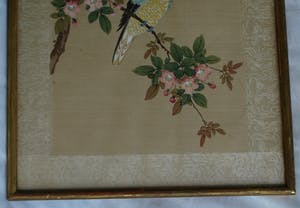 Niet of onleesbaar gesigneerd - Ingelijste aquarel op zijde, Japan? China? , Papagaai kopen? Bied vanaf 1!