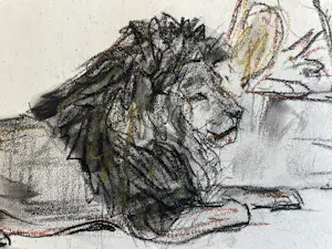 Cornelis Jan Mension - Tekening van een rustende leeuw en leeuwin, gemaakt in Artis kopen? Bied vanaf 85!