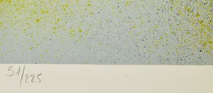 Valerie Hermant - Fleurs kopen? Bied vanaf 15!