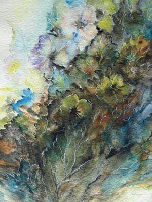 Niet of onleesbaar gesigneerd - Ingelijste aquarel , Bloemstilleven – 1959 kopen? Bied vanaf 1!