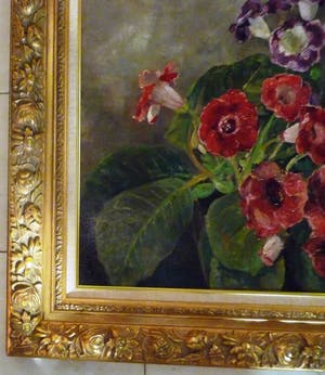 Jacobus Doeser - Glocksinia's kopen? Bied vanaf 350!