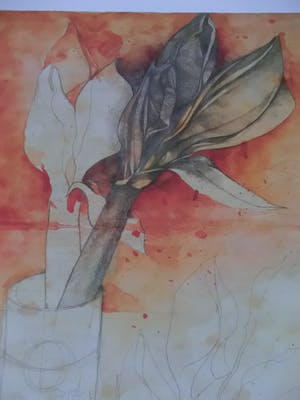 Bruno Bruni - AMARYLLIS Handgesigneerde kleurenlitho, vanaf € 1. kopen? Bied vanaf 1!