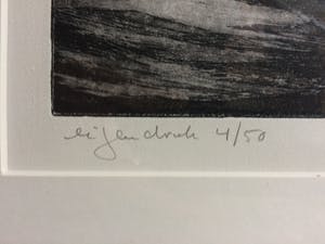 Jan Haas - ets, genummerd 4/50 kopen? Bied vanaf 25!